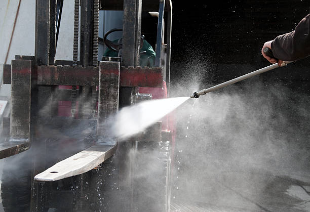 Best Roof Washing  in Fremont, MI